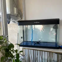 اکواریوم وارداتی به همراه پمپ تصفیه|ماهی|شیراز, معالیآباد|دیوار