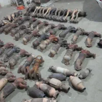 خرید وفروش کاتالیزور در خراسان