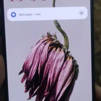 POCO M6 PRO|موبایل|زاهدان, |دیوار