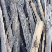 فروش چوب گردو