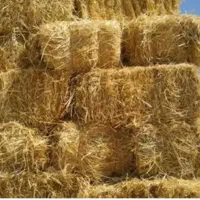 کاه برنج یا کلوش بسته بندی