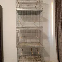 قفس 64 جوجه پرون میله ضخیم مخصوص طوطی