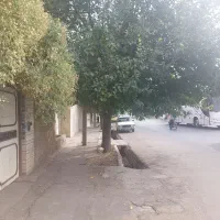 فروش منزل کلنگی ۳۷۰ متر بر خیابان فرگاز|فروش زمین و ملک کلنگی|شیراز, فرگاز|دیوار