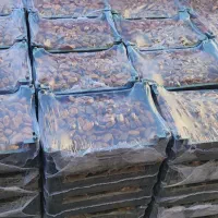 خرما بدون هسته عمده