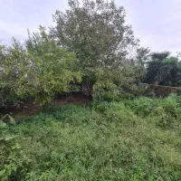 ۲۸۱متر زمین مسکونی سند تک برگ   محدوده ساحلی|فروش زمین و ملک کلنگی|خشکبیجار, |دیوار