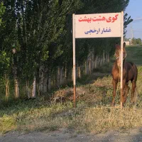 زمین ویلایی اسپیران کوی هشت بهشت