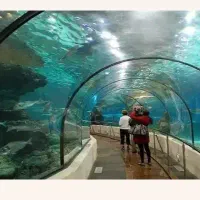 تور کیش //سفر ب جنوب ایران