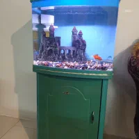 آکواریوم کمدی