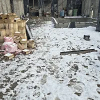 باغچه-ویلا-کاسبی