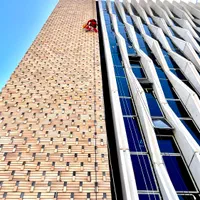 شرکت کار در ارتفاع با طناب شستشو نما پیچ رولپلاک|خدمات پیشه و مهارت|کرمان, |دیوار