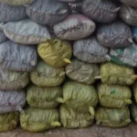 ژغال کبابی|کوهنوردی و کمپینگ|رستم, |دیوار