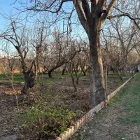 250-متر-360متر-باغچه-نقلی-بهنوش-جزایری-شهرکی