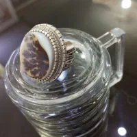 انگشتر نقره‌|کلکسیون اشیاء عتیقه|فردیس, فردیس|دیوار