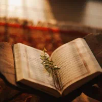 استخاره قرآن رایگان