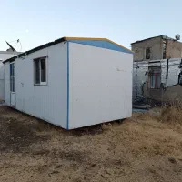 درخت کانکس