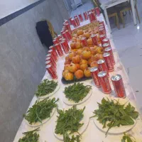 کاروان زیارتی کربلا مشهدشاهچراغ ریلی زمینی و هوایی