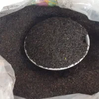 خوردن وآشامیدن|خوردنی و آشامیدنی|قم, قلعه کامکار|دیوار