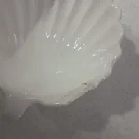 انواع ظرف|ظروف سرو و پذیرایی|زاهدان, |دیوار