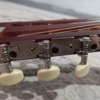 گیتار نو نو|گیتار، بیس، امپلیفایر|تهران, شهرک رضویه|دیوار