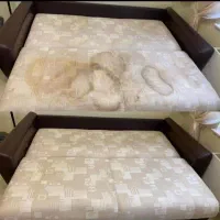 مبلشویی مبل شویی موکت