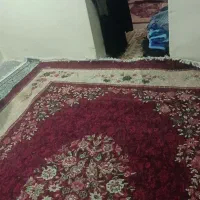 یک عدد فرش ۱۲متری تمیز