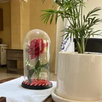 استخدام نیروی اداری و کارشناس در  بیمه سامان