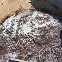 فروش ویژه کود کمپوست