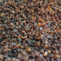 کشمش سرکه ای|خوردنی و آشامیدنی|ماهدشت, |دیوار