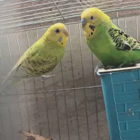 نداشتن جا برای نگهداری