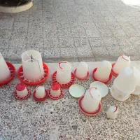 آبخوری مرغ|لوازم جانبی حیوانات|کازرون, |دیوار