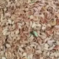 پوست بادام خشک اورگانیک