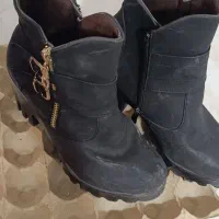 کفش سایز ۳۷|کیف، کفش، کمربند|پرند, فاز ۵|دیوار