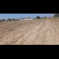 اجاره یک هکتار زمین کشاورزی واقع در شهرک انقلاب|اجارهٔ دفتر صنعتی، کشاورزی، تجاری|جیرفت, |دیوار