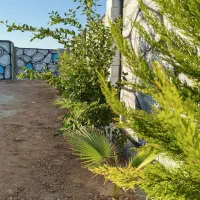 باغ چهار دیوار رنگ آمیزی شده