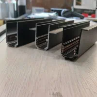 ریل مگنتی  ریل مولتی ترک