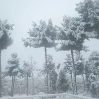 باغ-و-ویلای-اجاره-سالیانه