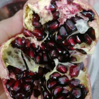 انارکوهمره