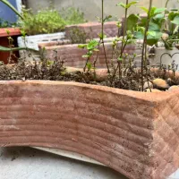 گلدان سفال و پلاستیکی