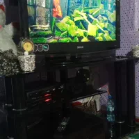 ال سی دی|تلویزیون و پروژکتور|شیراز, سیاه سنگ|دیوار