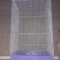 قفس پرنده
