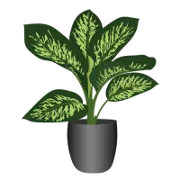 کود عالی 24 عنصر معدنی سالیکس گرین