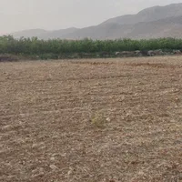 هزار متر زمین باغی در سپیدان منطقه هماشهر|فروش زمین و ملک کلنگی|شیراز, شهرک سراج‎|دیوار