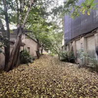 اجاره کافه رستوران بوتیک هتل|اجارهٔ مغازه و غرفه|رشت, چله خانه|دیوار