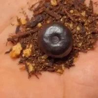 کهنه قدیمی|کلکسیون اشیاء عتیقه|سمنان, |دیوار