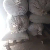 نخود زود پز