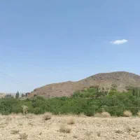 ۲۵۰مترمسکونی ساردو درب بهشت زیرقیمت بازار