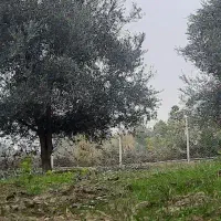 زمین-مسکونی