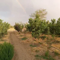 باغ ویلایی فول بااستخردرروستای عمان (قروه درگزین)