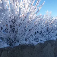 نقاشی ساختمان ،نصب ایزوبام،جوشکاری