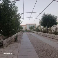 باغ ویلا530متر در گنبدباز یاشاهنامه 67|فروش خانه و ویلا|مشهد, نوچاه|دیوار